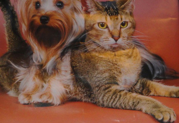 Светлана Теплоухова