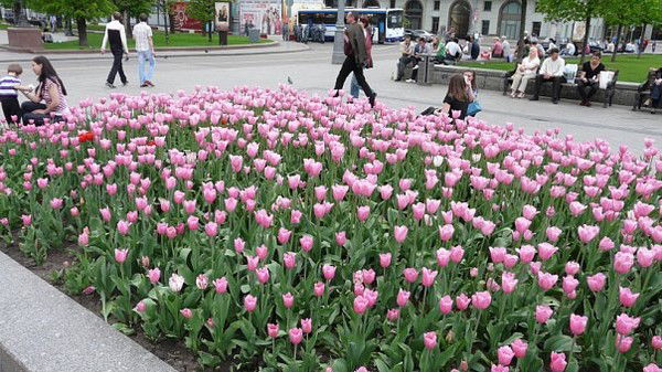 Эльвира Кухарёнок