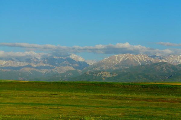 Жарас Махмет