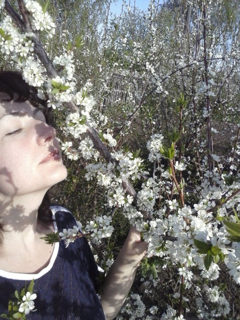 Елена Шморгунова