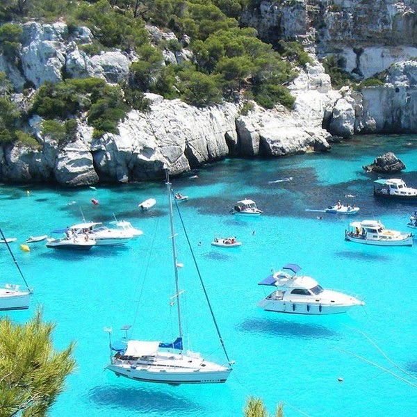 Елена Жихарева