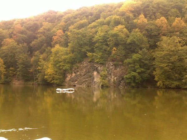 Альянс-Групп Альянс-Групп