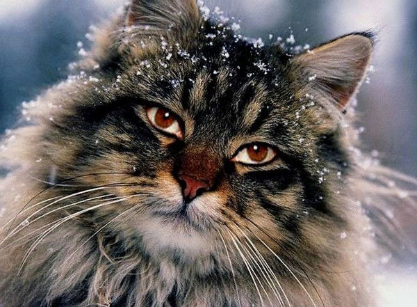 Екатерина Сербаева