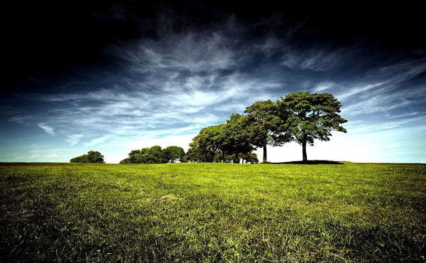 Солижон Зуннунов