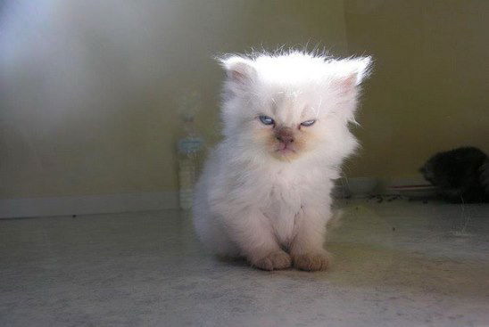 Ленар Канзипаров