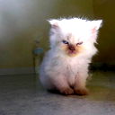 Ленар Канзипаров