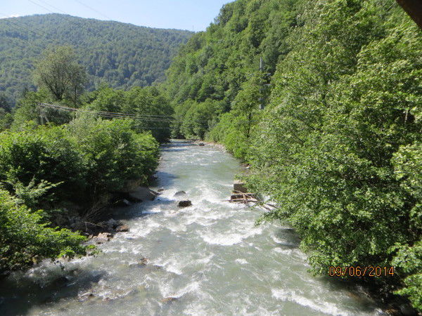 Надежда Ауглене