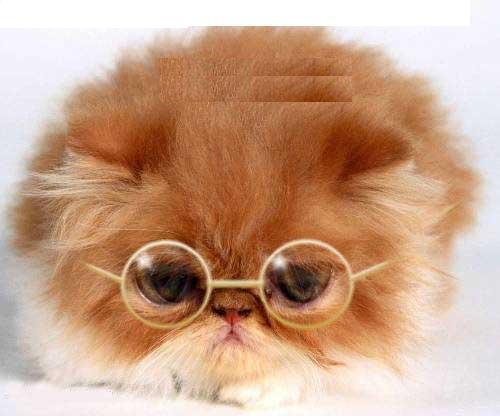 Ольга Погорелкина