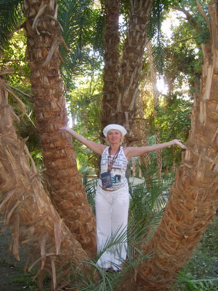 Елена Моисеева