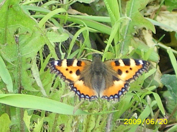 Настя Лукьянова