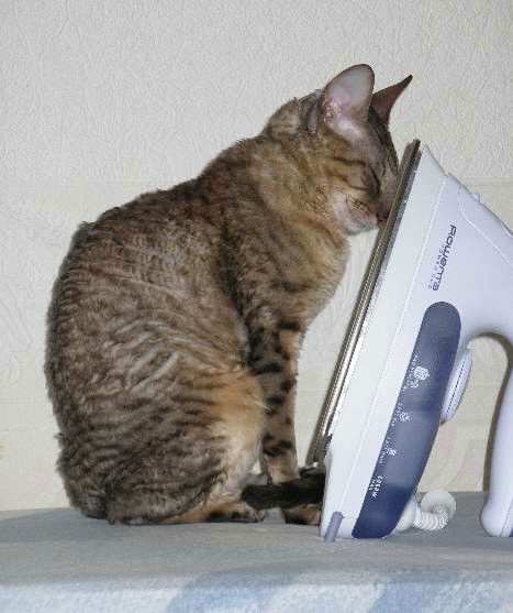 Иван Ерахтин