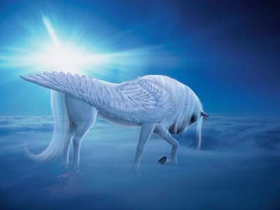 Анастасия Суховерхова