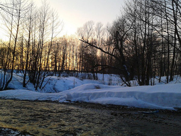 Павел Зверев