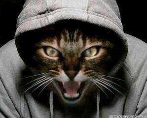 Андрей Польский