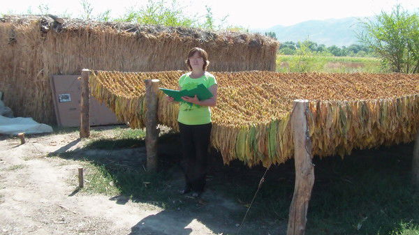 Майра Тохмамбетова