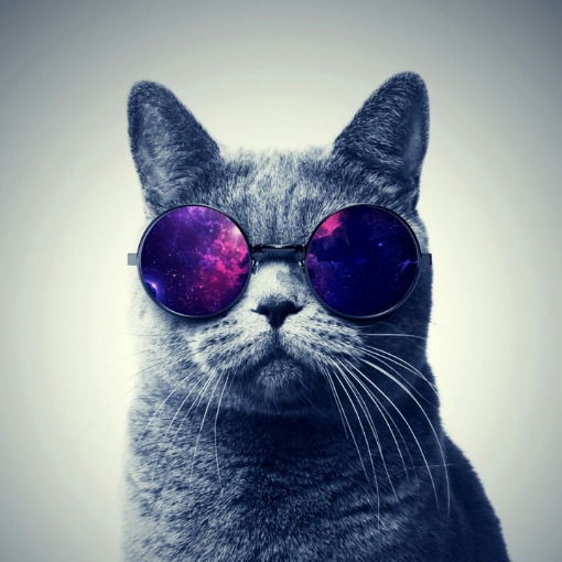 Катя Игнатенко