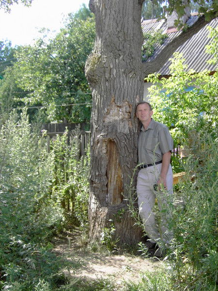 Василий Романенков