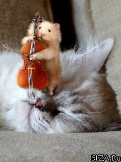 Сергей Абазов