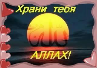 Ризида Папина