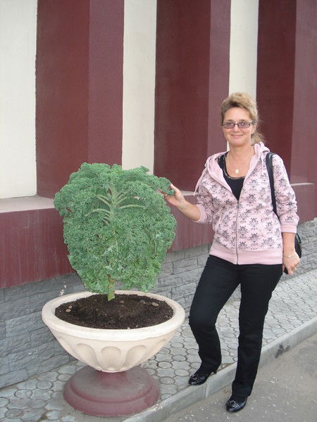 Татьяна Г.владимир