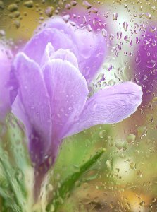 Жылдыз Зайитова