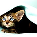 Виктор Вытнов