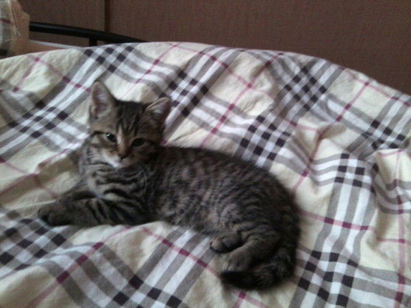 Александр Барановский