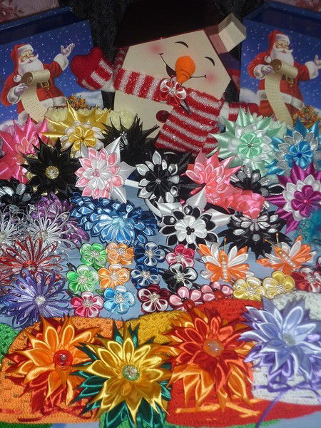 Гойгель Анастасия