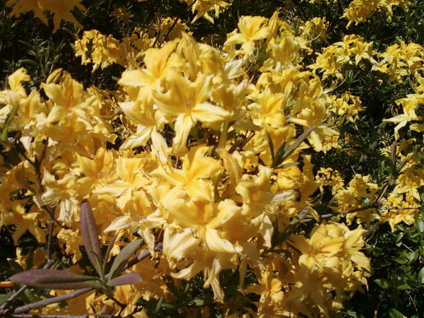 Татьяна Зинченко