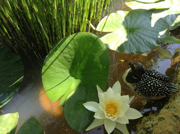 Луи Де Фюнес