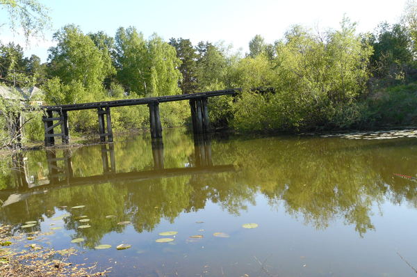 Вова Чаплышкин