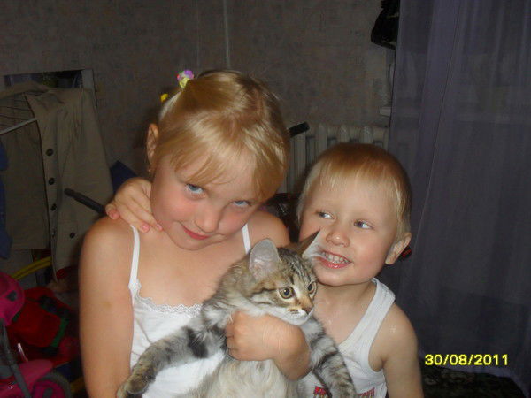 Александр Меньшиков