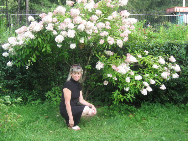 Наталья Родак