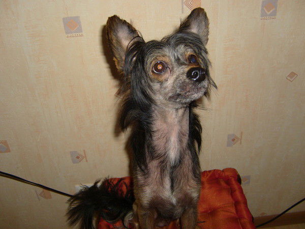 Виктория Кутузова