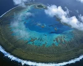 Елена Любанская