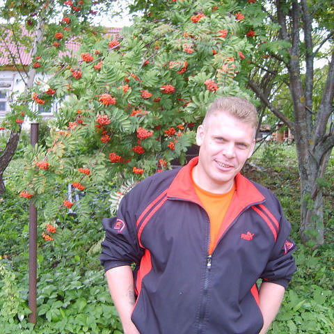 Алексей Толкачёв