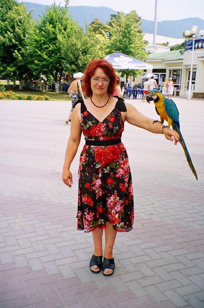 Елена Слесаренко