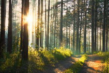 Иван Галерт