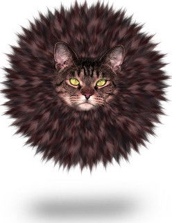 А Зачем? А Надо?