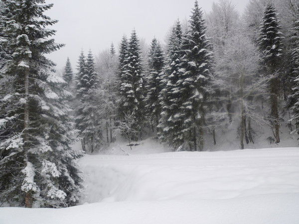 Нина Гунько