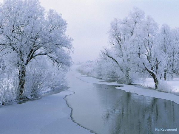 Евгений Барай