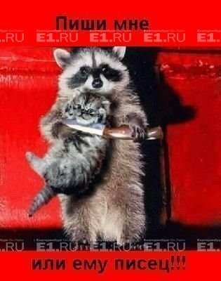 Николай Игнатьев