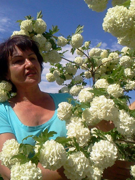 Любовь Тронькина