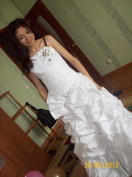 Coyotl "canis Latrans"