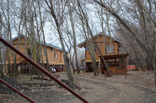 Андрей Ибрагимов