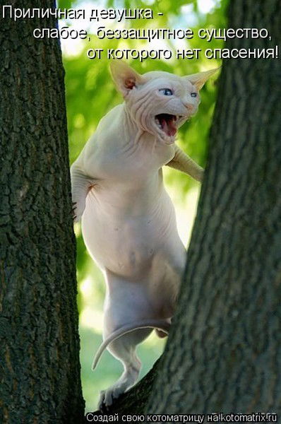 Галина Рожкина