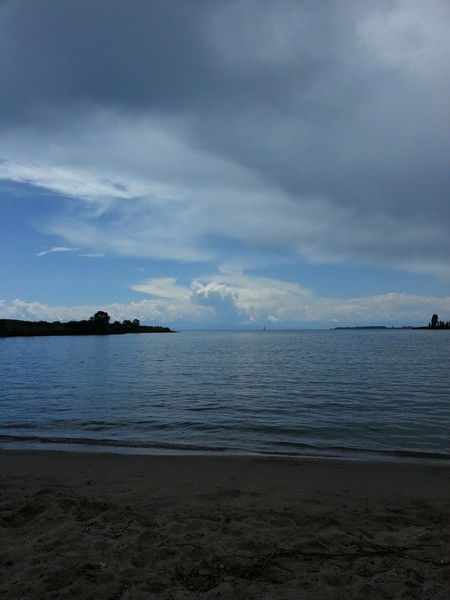 Ольга Мисюрина