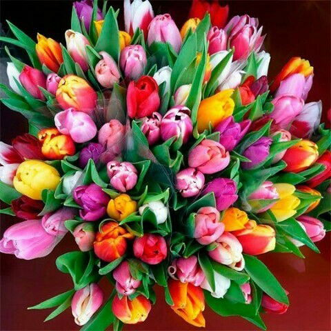 Кулян Жилкибаевна