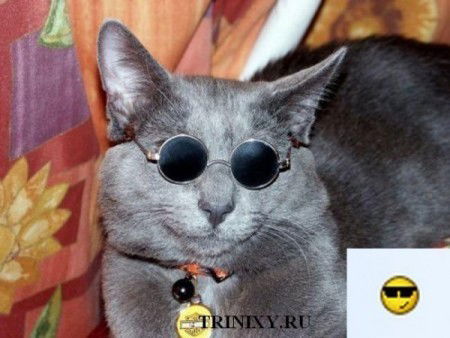 Юлия Двойрис