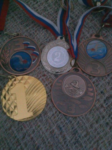 Чернов Дмитрий